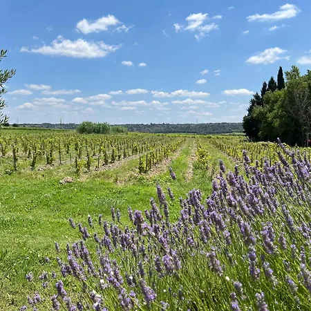 Mas 19e Entièrement Climatisé Avec Piscine à Usage Exclusif *